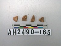 藏品(紅色夾砂陶片)的圖片